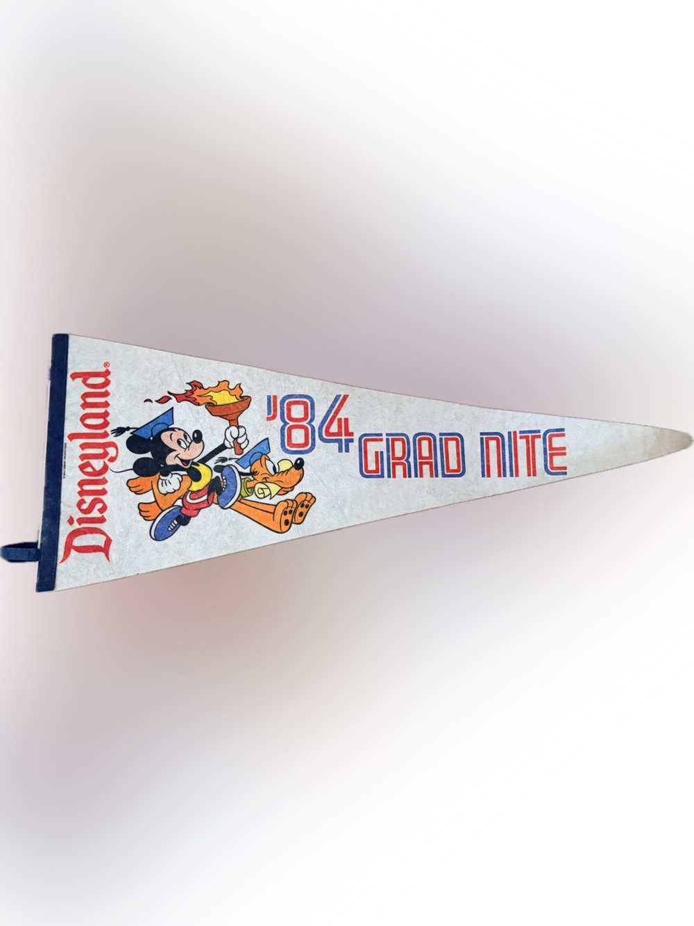 Vintage Rare Disneyland Pennant